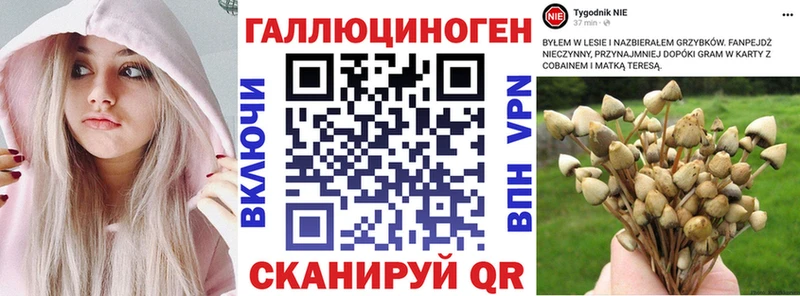 Галлюциногенные грибы GOLDEN TEACHER  Нижние Серги 